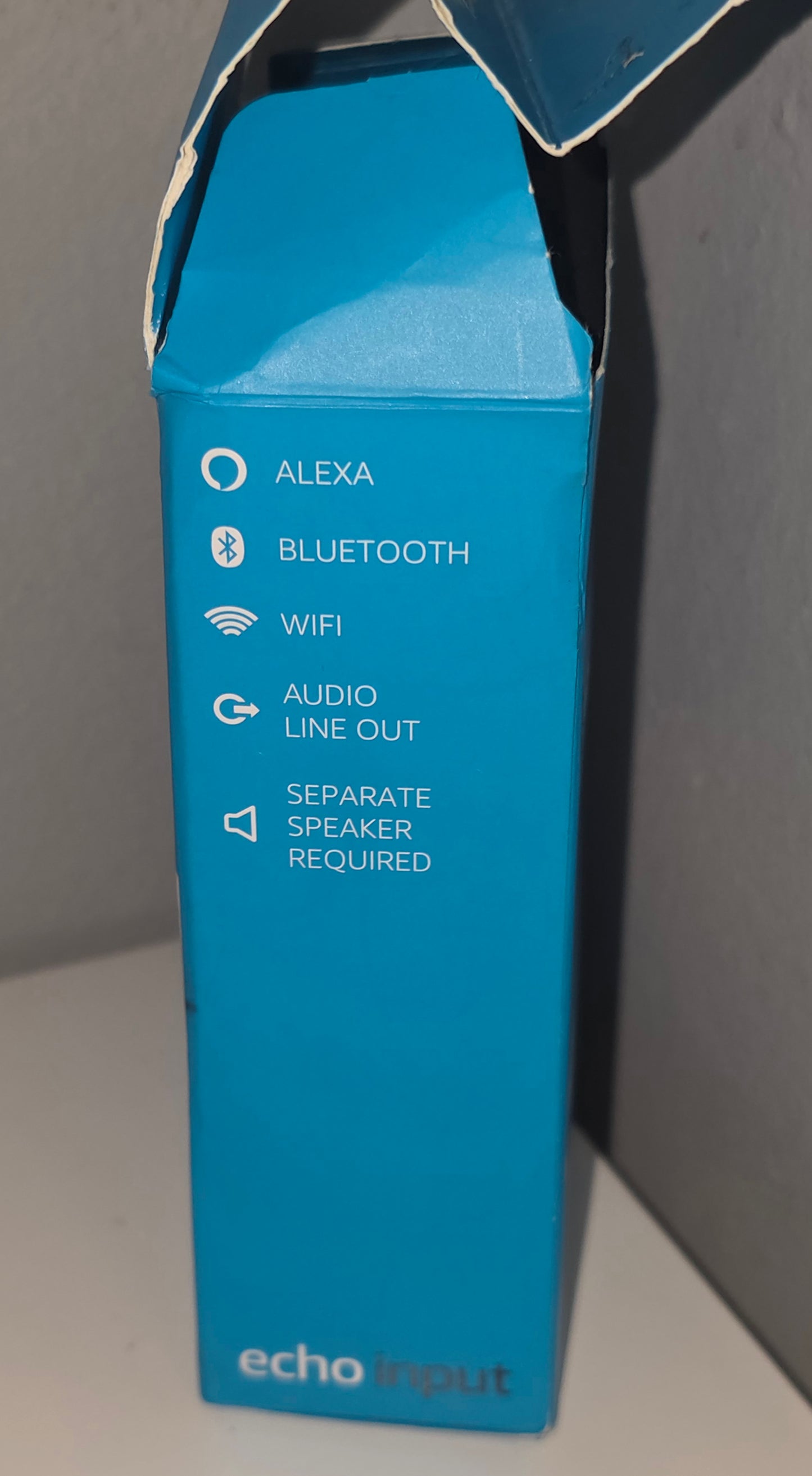 Amazon Echo Input Open box – Add Alexa to Any Speaker AUX BT