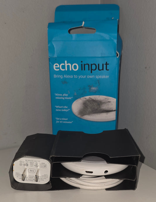 Amazon Echo Input Open box – Add Alexa to Any Speaker AUX BT