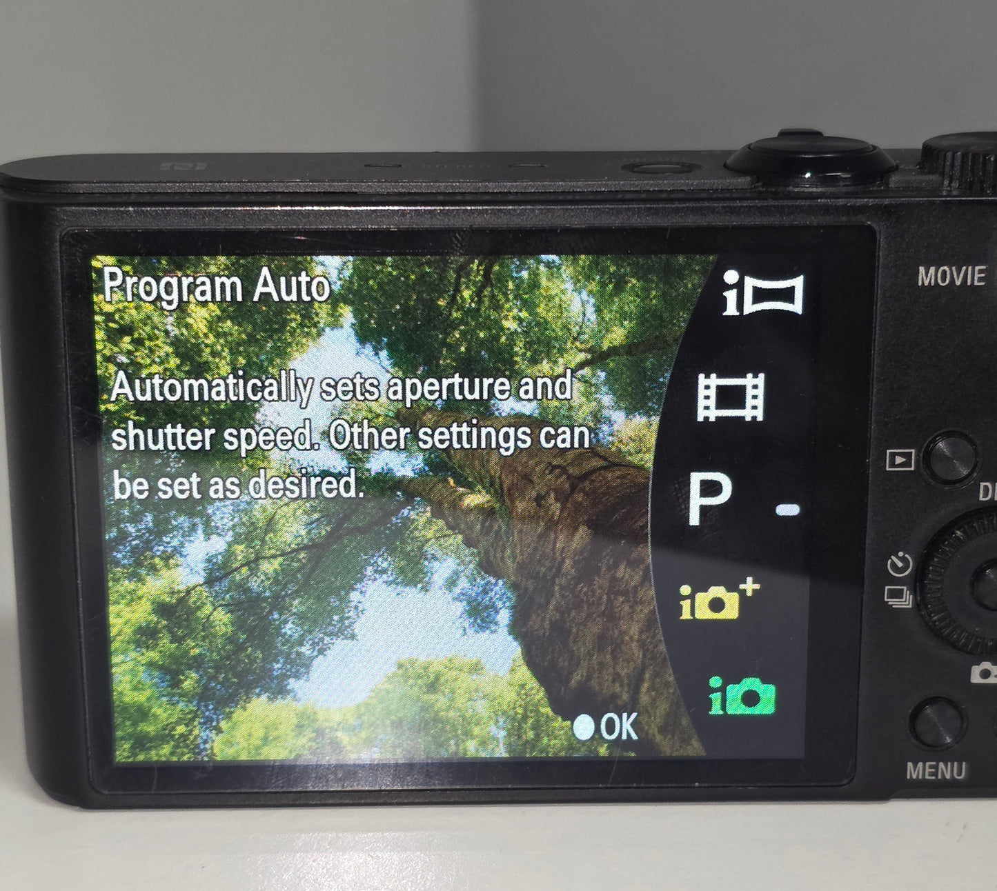 Sony Cyber-Shot WX350 18.2MP Digital Camera - Black With Battery