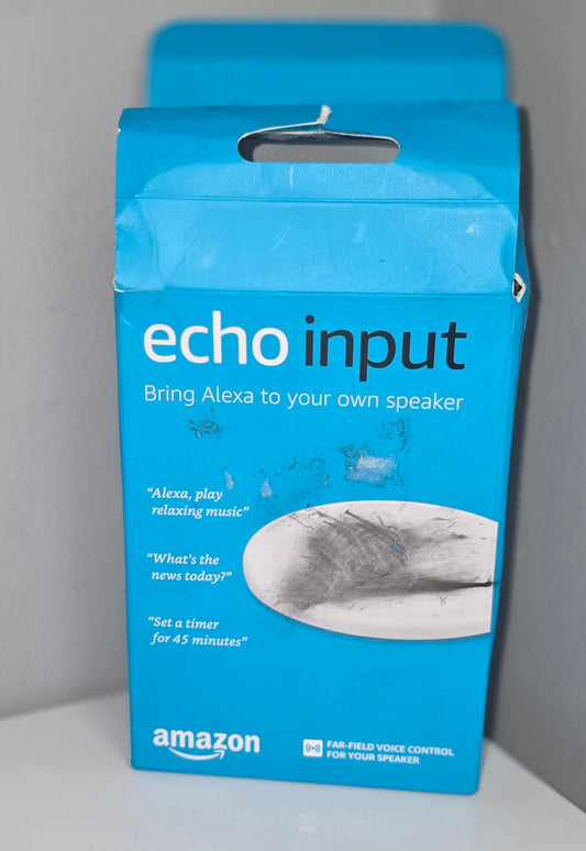 Amazon Echo Input Open box – Add Alexa to Any Speaker AUX BT