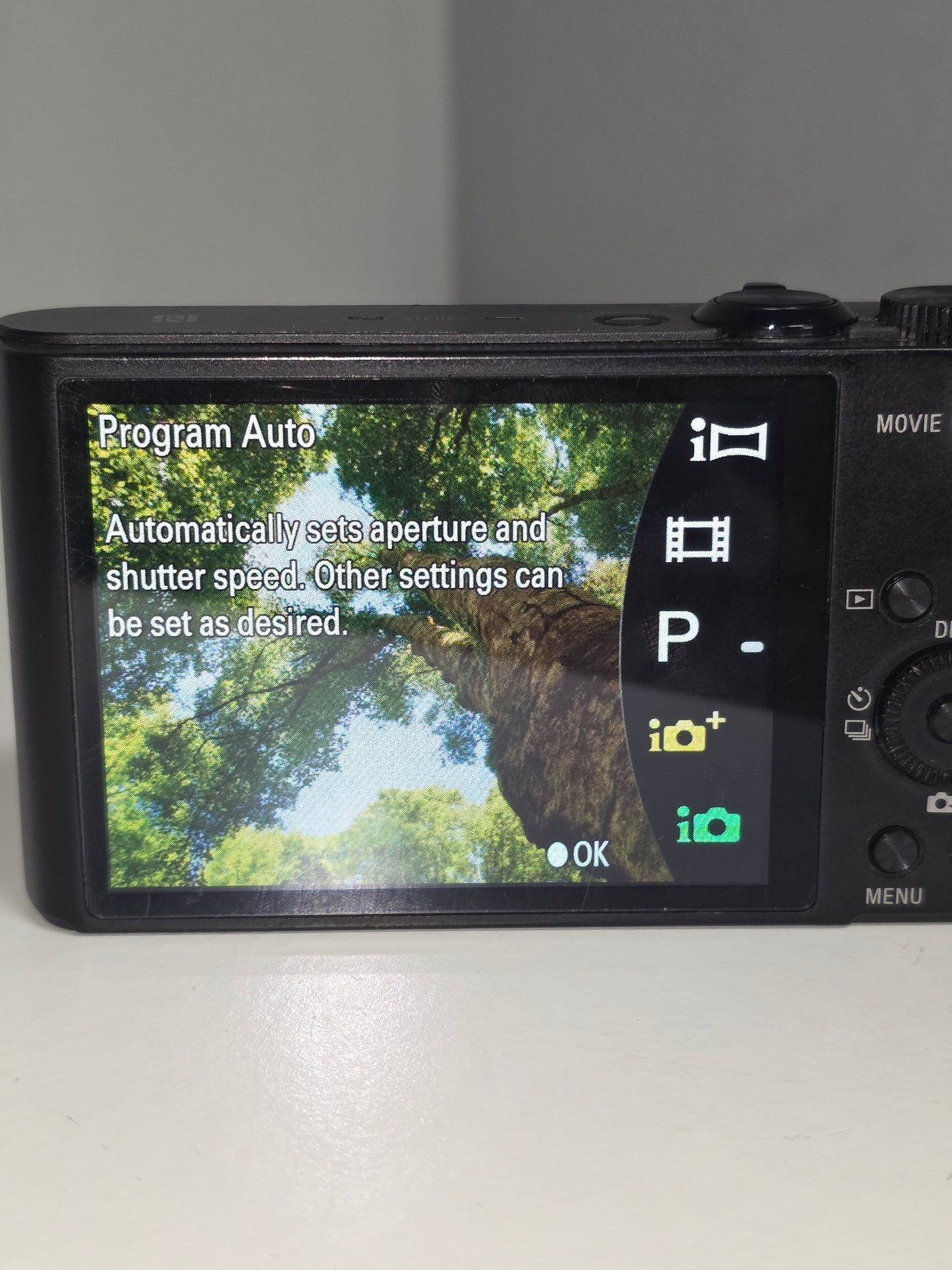 Sony Cyber-Shot WX350 18.2MP Digital Camera - Black With Battery